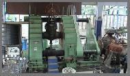 Coir Fiber