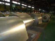 Galvanized Steel Coils