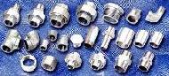 Corrosion Resistant Steel