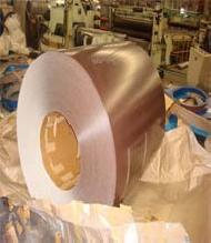 Pre Painted Galvanized Steel Coil