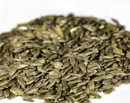 Coir Fiber
