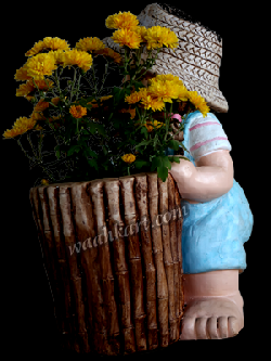 Coir Fiber