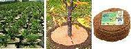 Coir Fiber