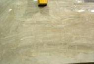 Coir Fiber