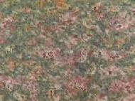 Coir Fiber