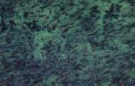 Coir Fiber