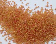 Coir Fiber