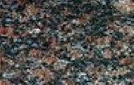 Coir Fiber
