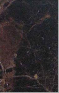 Coir Fiber
