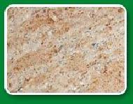 Coir Fiber