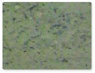 Coir Fiber