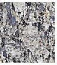 Coir Fiber