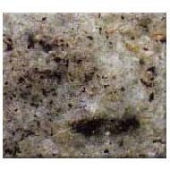 Coir Fiber