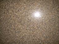 Coir Fiber