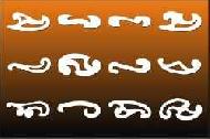 Coir Fiber