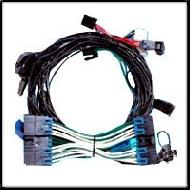 Coir Fiber