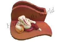 Coir Fiber