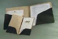 Coir Fiber