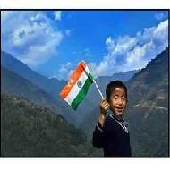 Hand Flags