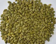 Coir Fiber