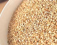 Coir Fiber