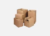 Coir Fiber