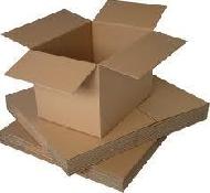 Coir Fiber