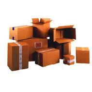 Coir Fiber