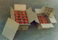 Coir Fiber