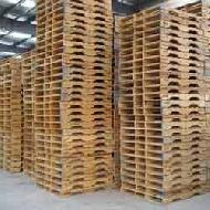 Coir Fiber