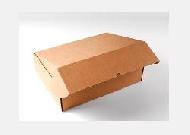 Coir Fiber