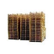 Coir Fiber