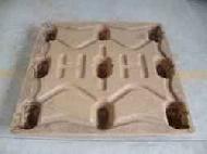 Coir Fiber