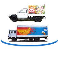 Coir Fiber