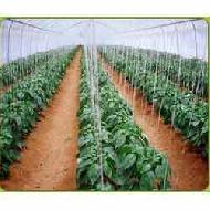 Agricultural Packaging