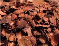 Coir Fiber