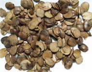 Coir Fiber