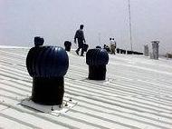 Thermoplastic Film