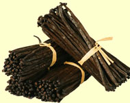 Coir Fiber