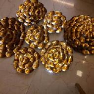 Coir Fiber