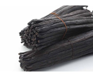 Coir Fiber