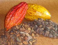 Coir Fiber