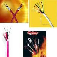 Coir Fiber