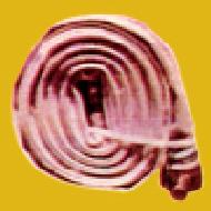 Coir Fiber