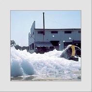 Coir Fiber