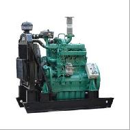 Coir Fiber