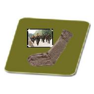 Coir Fiber
