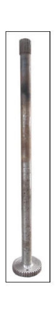 Coir Fiber