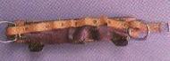 Coir Fiber