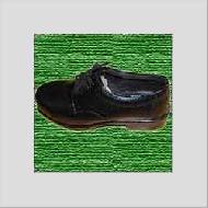 Coir Fiber